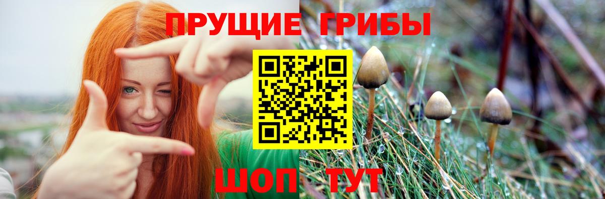 Галлюциногенные грибы ЛСД  Вход с VPN  Мытищи 